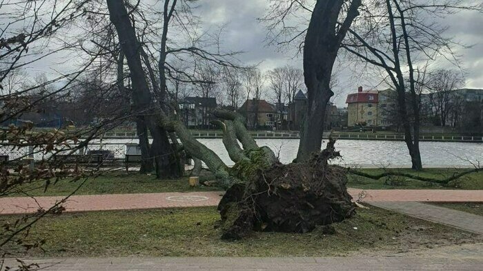 На Калининградскую область обрушился шторм: фото, видео (обновлено)  - Новости Калининграда | Фото предоставил очевидец