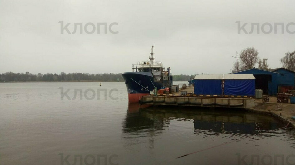 Закрытие границ, судебное дело Фургала и убийство старпома в Светлом: 11 событий, которые обсуждали на неделе  - Новости Калининграда | Фото: предоставили знакомые погибшего