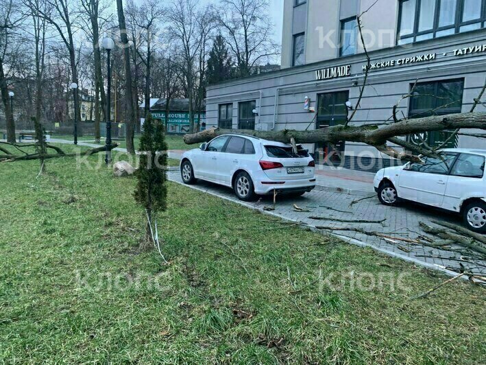 На Калининградскую область обрушился шторм: фото, видео (обновлено)  - Новости Калининграда | Фото: очевидец