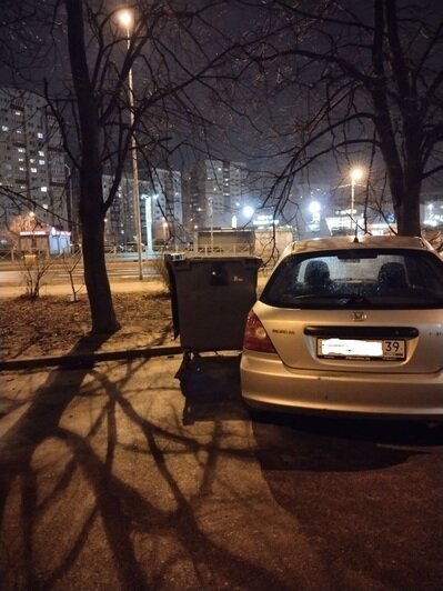 «Убежавшие» мусорки, поваленные деревья и оборванные провода: что в понедельник натворил в Калининграде брат «Ульфа» (фото) - Новости Калининграда | Фото очевидцев