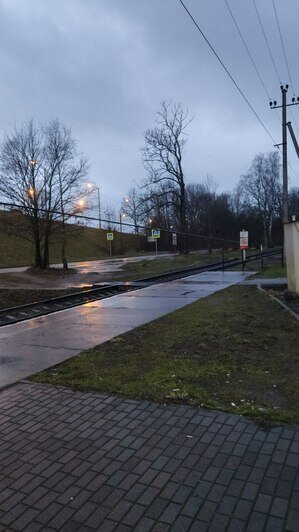 «Убежавшие» мусорки, поваленные деревья и оборванные провода: что в понедельник натворил в Калининграде брат «Ульфа» (фото) - Новости Калининграда | Фото очевидцев