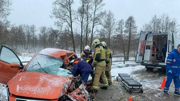 Беспорядки в Грузии, повторный сепсис у Костомарова и двое погибших в Калининграде: 9 событий, которые обсуждали на неделе  - Новости Калининграда | Фото: пресс-служба МЧС региона