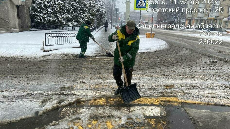 «Ночь и утро у наших коммунальщиков выдалось недоброе»: Дятлова — об уборке снега в Калининграде (фото) - Новости Калининграда | Фото: Telegram-канал Елены Дятловой