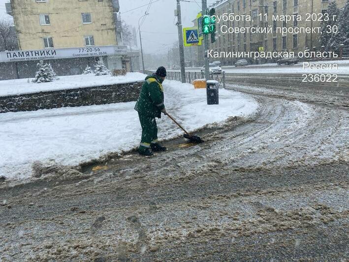 «Ночь и утро у наших коммунальщиков выдалось недоброе»: Дятлова — об уборке снега в Калининграде (фото) - Новости Калининграда | Фото: Telegram-канал Елены Дятловой