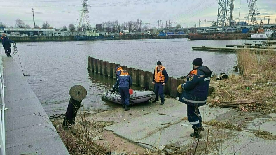Фейковый приказ об отмене «брони» от мобилизации, скандал вокруг Wildberries и утонувший в Преголе студент: 10 событий, которые обсуждали на неделе - Новости Калининграда | Фото: Очевидец