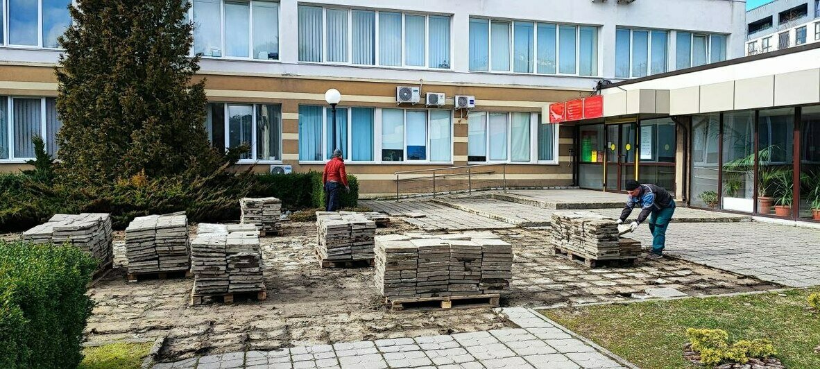 Обязательное условие — сохранить самшиты: в Светлогорске начали масштабный ремонт у здания администрации (фото) - Новости Калининграда | Фото: Telegram-канал Владимира Бондаренко