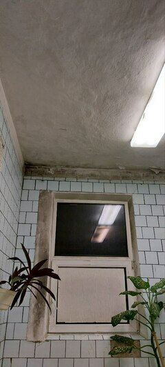 «Перед людьми стыдно»: депутат горсовета Калининграда сходила в баню на Комсомольской за 420 рублей и ужаснулась - Новости Калининграда | Фото предоставлено горсоветом Калининграда