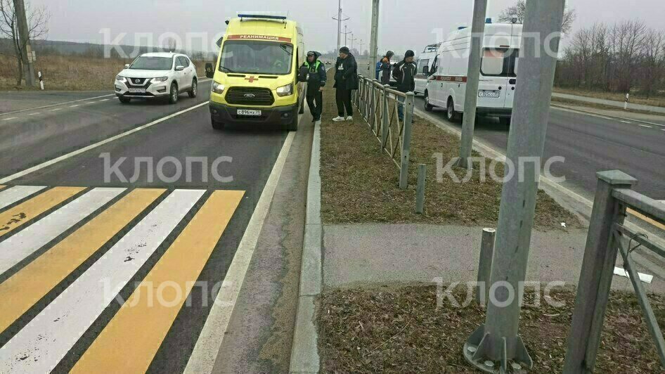 ДТП случилось в районе пешеходного перехода под Зеленоградском | Фото: Очевидец