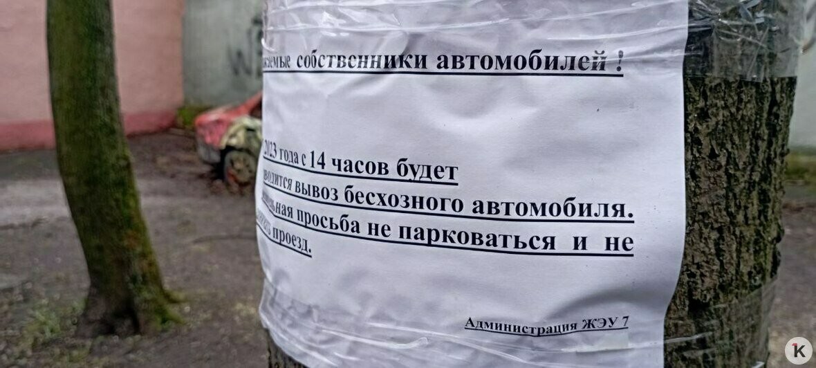 «Даже в ФСБ жаловались»: со двора на Галицкого отправили в утиль машину, хозяин которой умер 5 лет назад (фото, видео) - Новости Калининграда | Фото: «Клопс»