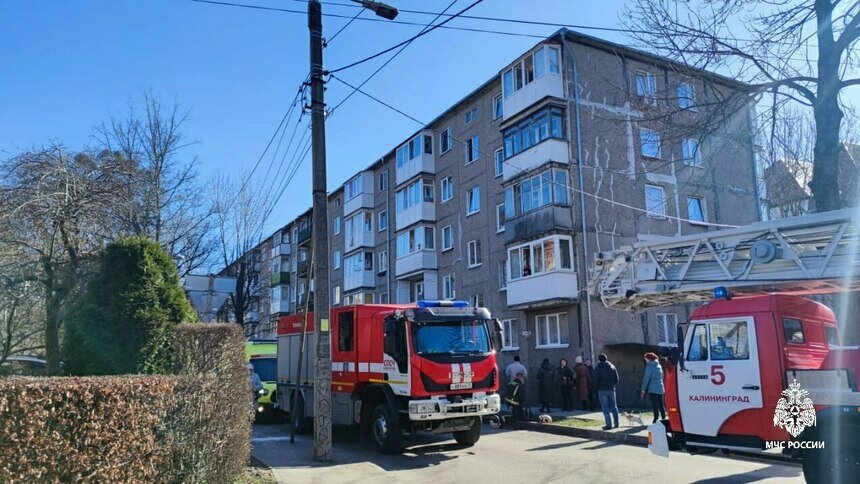 В калининградской квартире во время пожара погиб 60-летний неходячий инвалид - Новости Калининграда | Фото: пресс-служба ГУ МЧС России по Калининградской области