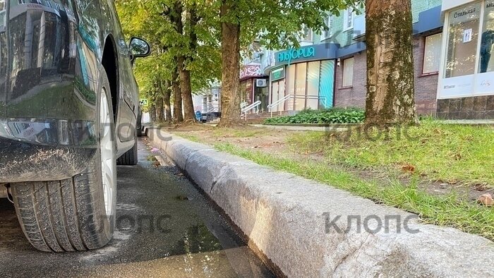 В центре Калининграда сбили школьницу: что не так с этим перекрёстком - Новости Калининграда | Фото: Александр Подгорчук / «Клопс»