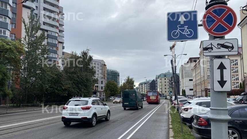 На Острове в Калининграде сделали выделенку для велосипедов (фото) - Новости Калининграда | Фото: Александр Подгорчук / «Клопс»