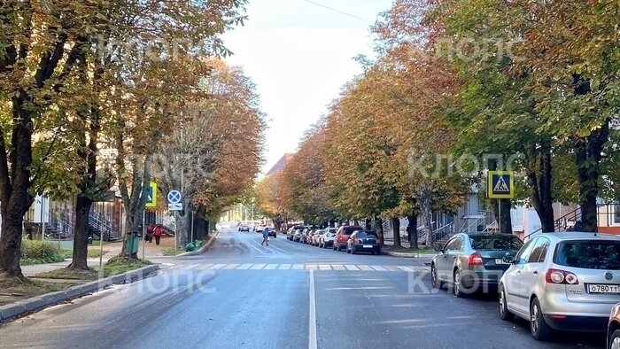 В центре Калининграда сбили школьницу: что не так с этим перекрёстком - Новости Калининграда | Фото: Александр Подгорчук / «Клопс»