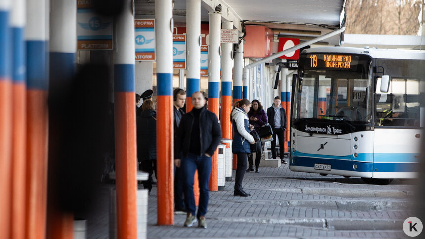 В Калининграде подорожали билеты на автобусы в приморские города - Новости Калининграда | Фото: Александр Подгорчук / Архив «Клопс»