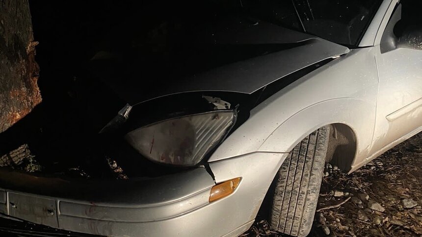 В Прибрежном легковушка протаранила придорожное дерево, пострадал пассажир   - Новости Калининграда | Фото: пресс-служба УМВД России по Калининградской области