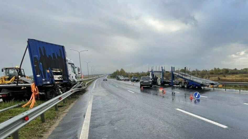 В ДТП попало пять машин | Фото: УМВД по Калининградской области 