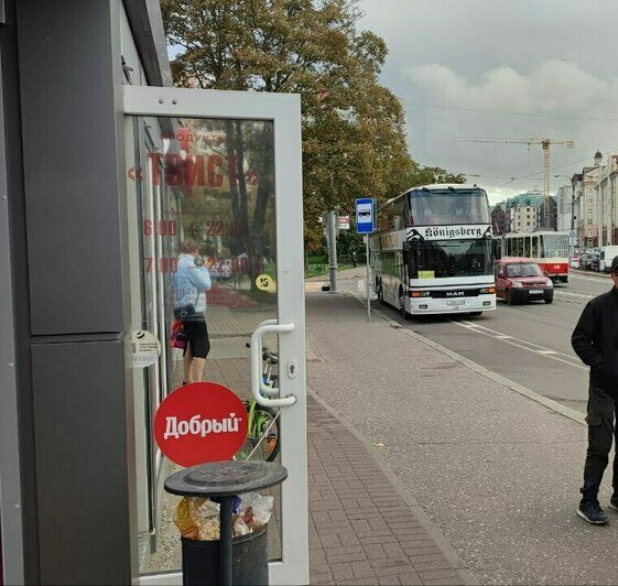 «Поехали кайфовать»: эксперт опробовал новую велодорожку на Острове и рассказал, что с ней не так (видео) - Новости Калининграда | Фото Ильи Абросимова