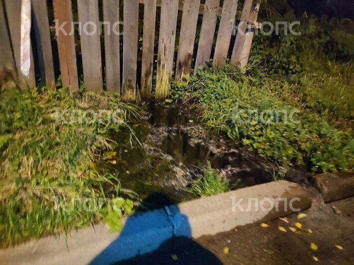 «Такой фонтан, что воняет аж на Московском»: улицу на окраине Калининграде заливают смрадные стоки (фото) - Новости Калининграда | Фото читателя