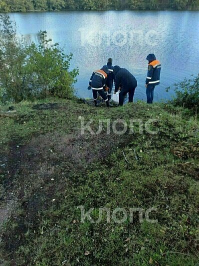 Водолазы ищут улики на месте убийства. | Фото: очевидец
