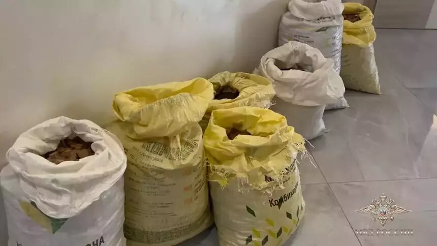 Под Зеленоградском нашли цех, где янтарные браконьеры перерабатывали незаконно добытый сырец (фото) - Новости Калининграда | Фото: МВД Медиа