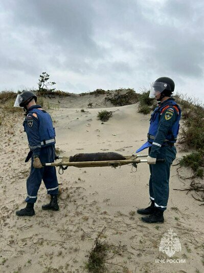 На Балткосе нашли фугасную авиационную бомбу времён Великой Отечественной войны (фото) - Новости Калининграда | Фото: МЧС региона