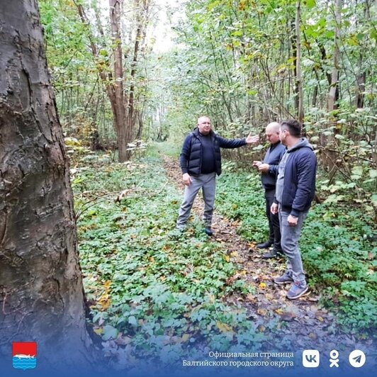 В балтийском парке имени Головко, где в прошлом году был ремонт, хотят открыть велодорожки и скейт-площадку  - Новости Калининграда | Фото: пресс-служба администрации Балтийского городского округа