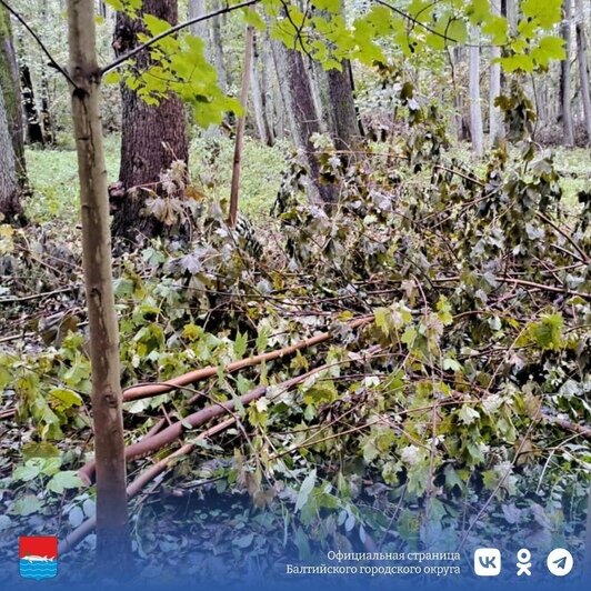 В балтийском парке имени Головко, где в прошлом году был ремонт, хотят открыть велодорожки и скейт-площадку  - Новости Калининграда | Фото: пресс-служба администрации Балтийского городского округа