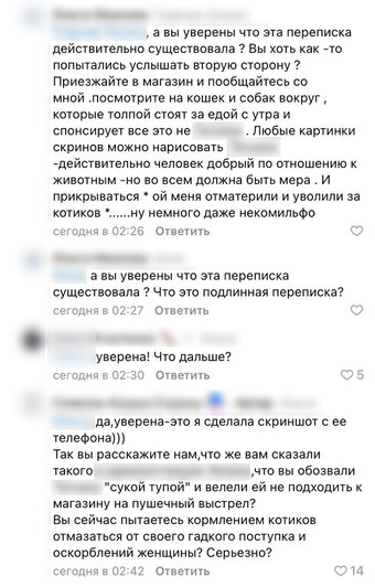 «Она у нас никогда не работала»: владелица зеленоградского магазина — об увольнении котозащитницы Татьяны Калинки - Новости Калининграда | Скриншот комментариев по постом Анны Брылевской