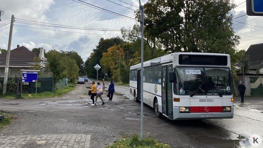 Маршрут частного перевозчика, на которого часто жалуются пассажиры, передадут «Калининград-ГорТрансу» - Новости Калининграда | Фото: Александр Подгорчук / Архив «Клопс»