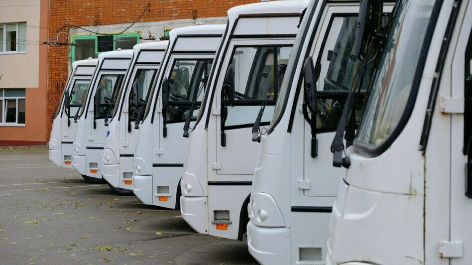 Администрация Калининграда передала МО РФ семь автобусов ПАЗ для перевозки бойцов (фото)    - Новости Калининграда | Фото: телеграм-канал Елены Дятловой