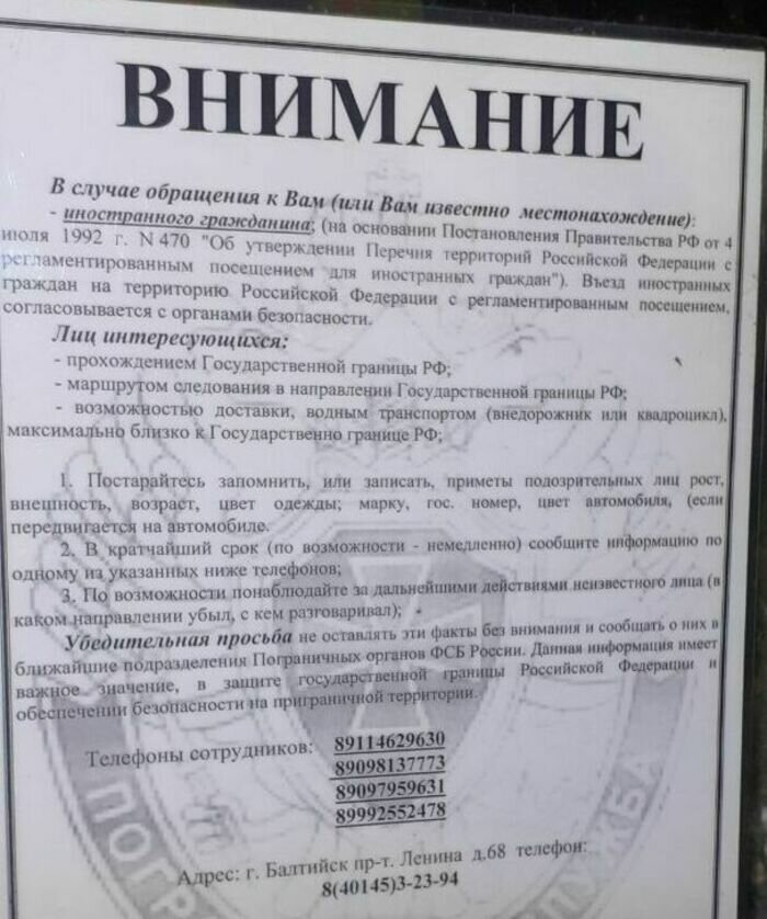 «Вдруг он какой-то шпион?»: жительница Балткосы рассказала, как помогла поймать британца, пробиравшегося к границе - Новости Калининграда | Фото: Наталья Халходжаева