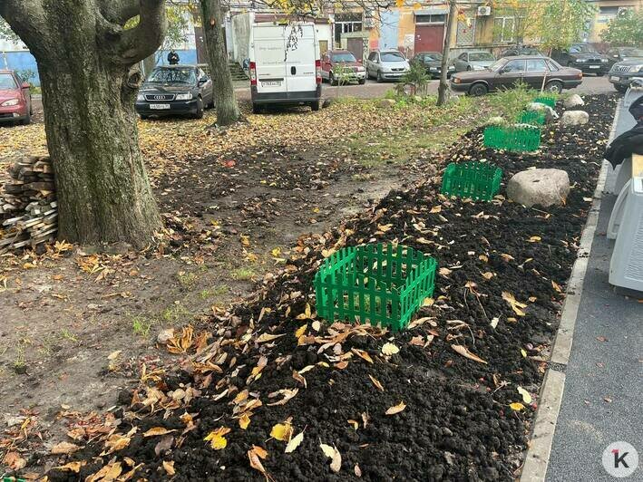 В районе рынка на Полоцкой открыли спортивную площадку (фото) - Новости Калининграда | Фото: «Клопс»