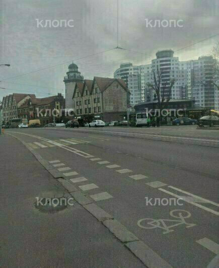 Ловушка на Острове: с Октябрьской убрали знаки пешеходного перехода, а разметку не затёрли (фото) - Новости Калининграда | Фото читателя