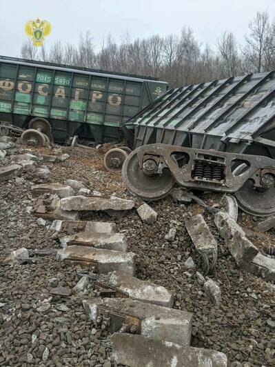 Под Рязанью сошли с рельсов вагоны из-за «вмешательства посторонних лиц», есть пострадавшие (фото, видео) - Новости Калининграда | Фото: телеграм-канал «Московская межрегиональная транспортная прокуратура»