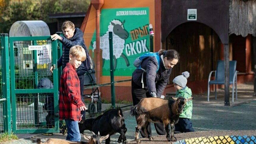 В Калининградском зоопарке закрывается площадка «Прыг-Скок» - Новости Калининграда | Фото: Калининградский зоопарк