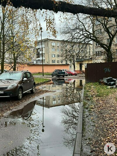 «Карташева сделали, а нас бросили»: жители Космодемьянского ходят по разбитым дорогам (фото) - Новости Калининграда | Фото читателя