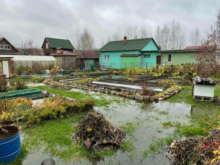 «Скоро будем заплывы устраивать»: репортаж из затопленного СНТ под Калининградом, где вода пробралась даже в дом - Новости Калининграда | Фото: Денис Шелеметьев