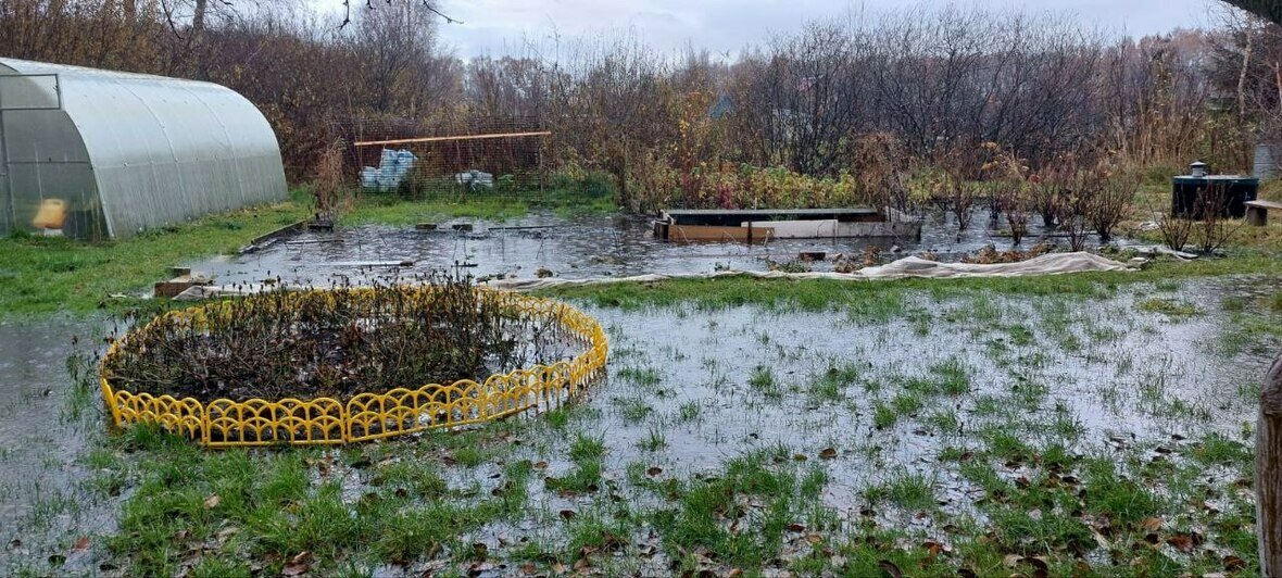 Так двор выглядел накануне | Фото: Татьяна Макеева