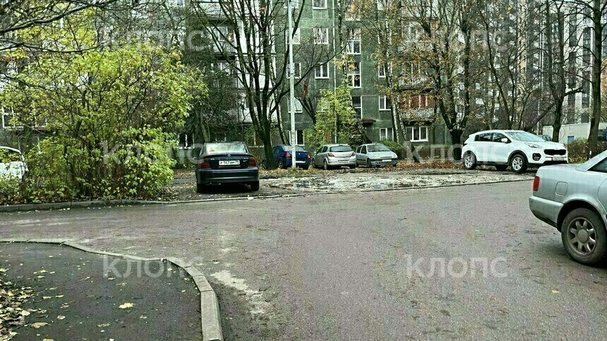 Калининградка самостоятельно залатала дорогу во дворе своей бабушки (видео) - Новости Калининграда | Фото: «Клопс»