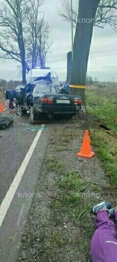 В Зеленоградском районе легковушка врезалась в дерево, один человек погиб, трое получили травмы  - Новости Калининграда | Фото: Очевидец