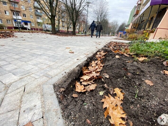 В центре Калининграда появился километровый велопешеходный бульвар (фоторепортаж) - Новости Калининграда | Фото: Александр Подгорчук / «Клопс»