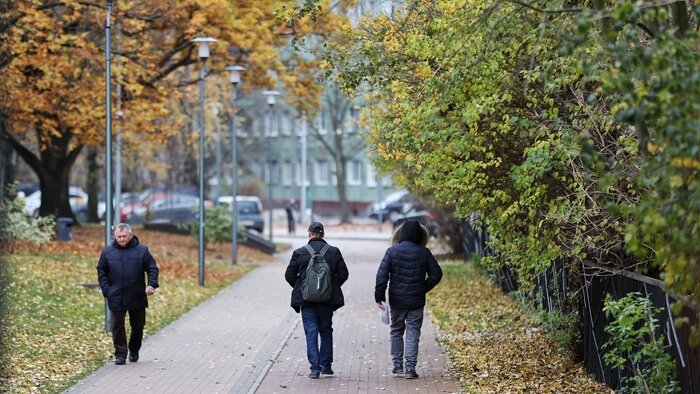 В центре Калининграда появился километровый велопешеходный бульвар (фоторепортаж) - Новости Калининграда | Фото: Александр Подгорчук / «Клопс»