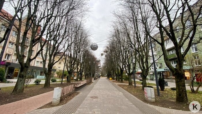 В центре Калининграда появился километровый велопешеходный бульвар (фоторепортаж) - Новости Калининграда | Фото: Александр Подгорчук / «Клопс»