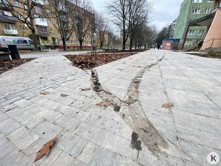 В центре Калининграда появился километровый велопешеходный бульвар (фоторепортаж) - Новости Калининграда | Фото: Александр Подгорчук / «Клопс»