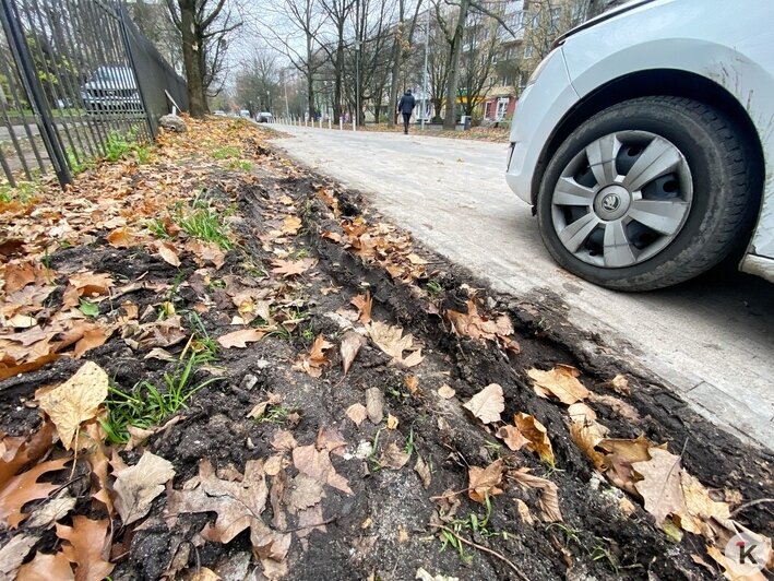 В центре Калининграда появился километровый велопешеходный бульвар (фоторепортаж) - Новости Калининграда | Фото: Александр Подгорчук / «Клопс»