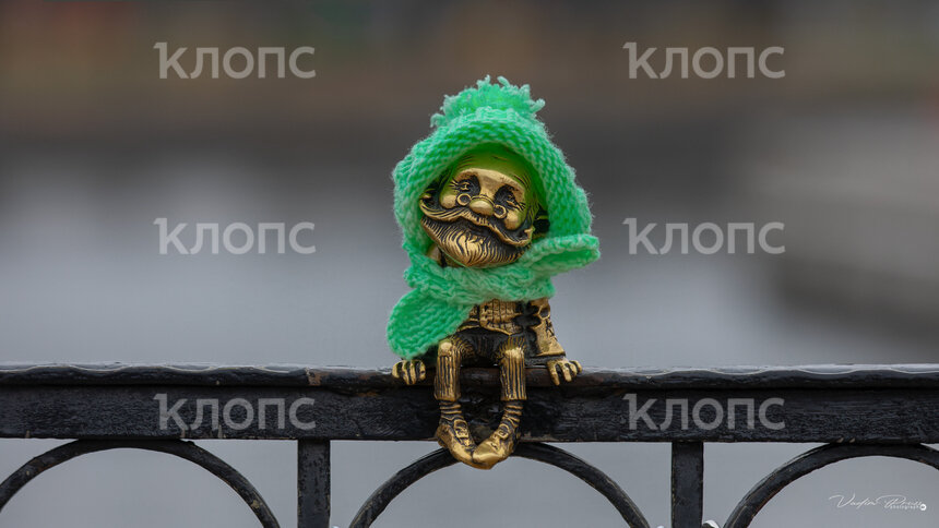 Дедушка-хомлин из Калининграда в воскресенье, 19 ноября  | Фото: Вадим Свирин 