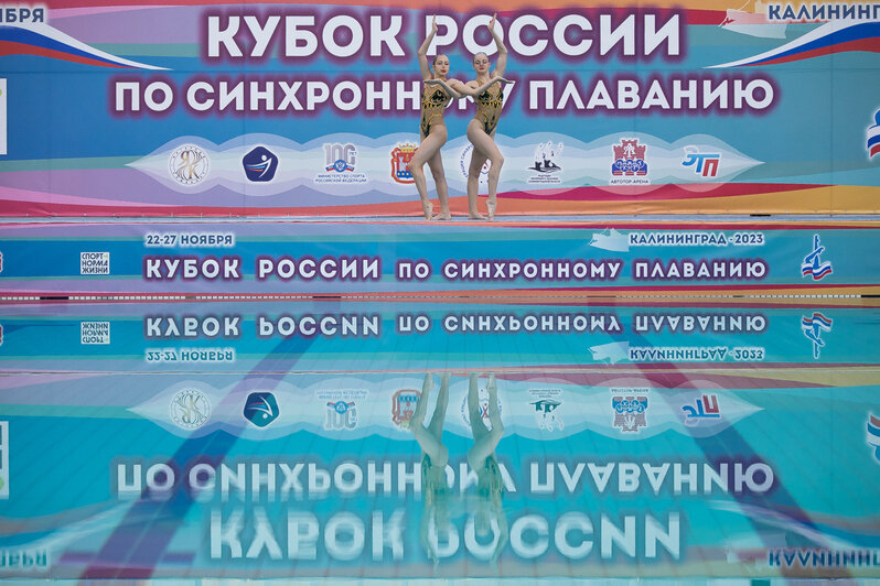 Калининград принимает Кубок России по синхронному плаванию (фоторепортаж)         - Новости Калининграда | Фото: Александр Подгорчук / «Клопс»