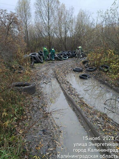 «В копеечку»: в мэрии Калининграда рассказали, во сколько обходится городу утилизация покрышек   - Новости Калининграда | Фото: пресс-служба администрации Калининграда