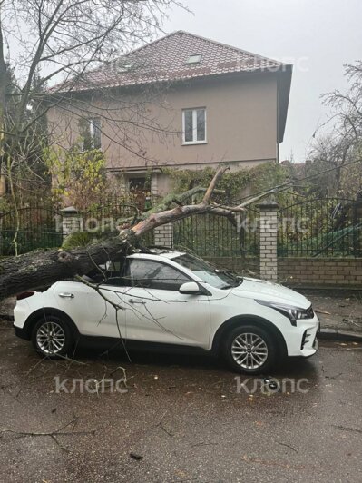 Шторм в Калининградской области и подробности смертельного ДТП на Киевской: 8 событий, которые обсуждали на неделе    - Новости Калининграда | Фото: очевидец