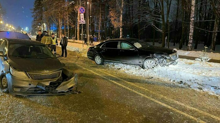 Нападение медведицы в Коми и смертельное ДТП в Калининграде: 9 происшествий, которые вы могли пропустить в выходные - Новости Калининграда | Фото: соцсети